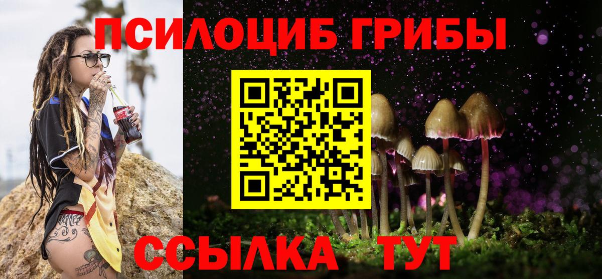 Чехов  Галлюциногенные грибы Magic Shrooms  Вход с VPN 